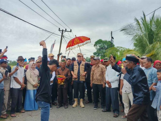 
 Ke Kluet Selatan Bupati Mirwan Panen Padi Ketahanan Pangan 