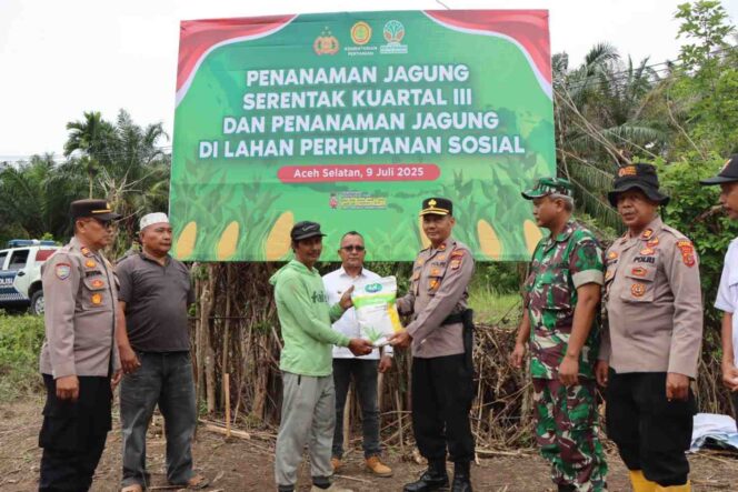
 Launching Penanaman Jagung Serentak di Lahan Perhutanan Sosial Dukung Asta Cita Ketahanan Pangan Nasional di Kecamatan Trumon Timur Rabu,9 Juli 2025
