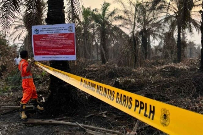 
 Kementerian LH Segel 4 Perusahaan dan Tutup 1 Pabrik Sawit di Riau