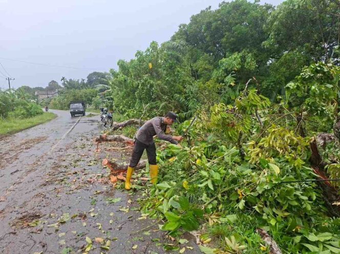 
 Polsek Trumon Timur Tanggap Atasi Pohon Tumbang, Lalu Lintas Kembali Lancar