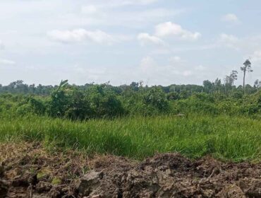 Lahan Masyarakat Yang Digarap oleh PT ALIS Tanpa HGU