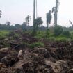 Lokasi Lahan PT ALIS yang disinyalir tanpa Sertifikat HGU