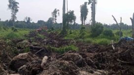 Lokasi Lahan PT ALIS yang disinyalir tanpa Sertifikat HGU