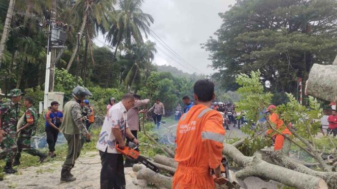 
 Respon Cepat Personel Gabungan, Pohon Tumbang di Jalan Nasional Samadua Berhasil Dibersihkan