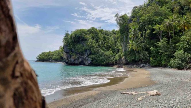 
 Pariwisata Aceh Selatan Kuasai Persaingan Sengit Anugerah Pesona Indonesia Awards 2025