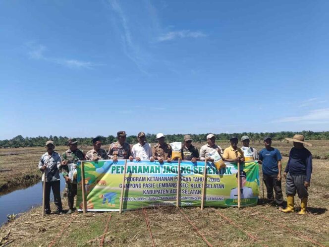 
 Dukung Program Ketahanan Pangan, Pemerintah Gampong Pasie Lembang Tanam Jagung Serentak