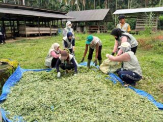 Simulasi Teknologi Fermentasi dan Irigasi Tetes USK Bantu Pemulihan Pascabanjir di Bireuen