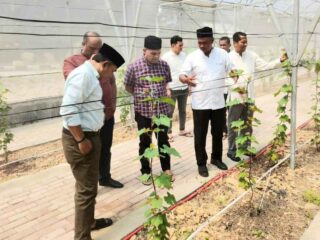 Budidaya Anggur dengan Greenhouse, Kadisdik Aceh Sambangi SMKN 1 Peureulak