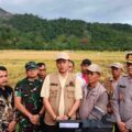 Kunjungan Kerja ke Kecamatan Kluet Timur, Bupati Mirwan Panen Padi Bersama Warga