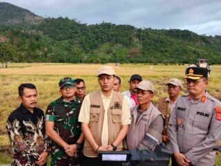 Kunjungan Kerja ke Kecamatan Kluet Timur, Bupati Mirwan Panen Padi Bersama Warga