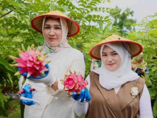 Kak Na: Buah Naga Sabang, "Meucrop" Barang